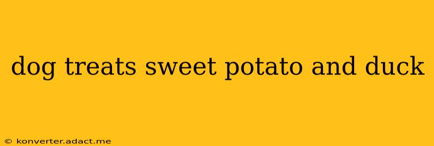 dog treats sweet potato and duck