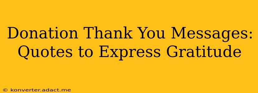 Donation Thank You Messages:  Quotes to Express Gratitude