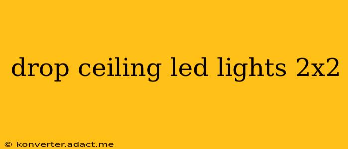 drop ceiling led lights 2x2