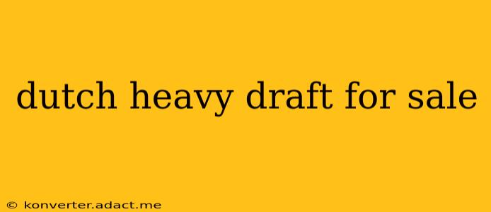 dutch heavy draft for sale