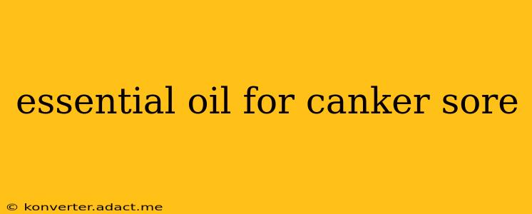 essential oil for canker sore