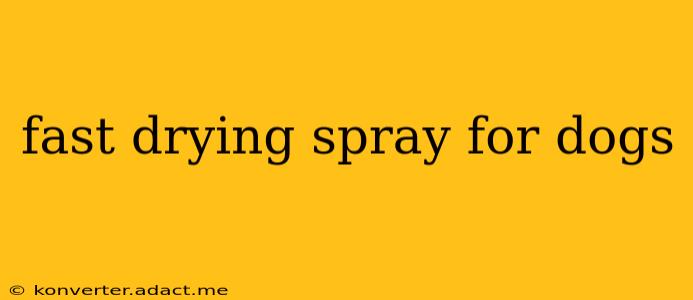 fast drying spray for dogs