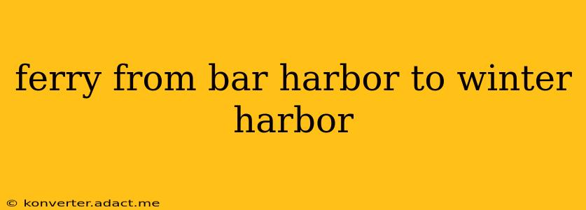 ferry from bar harbor to winter harbor