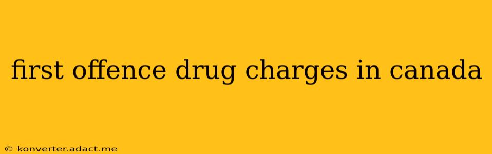 first offence drug charges in canada