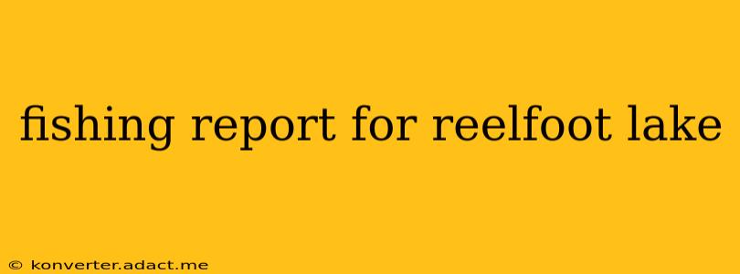 fishing report for reelfoot lake