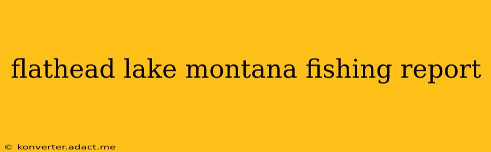 flathead lake montana fishing report