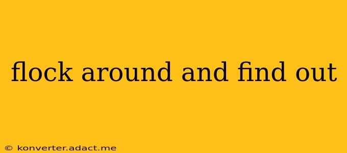 flock around and find out