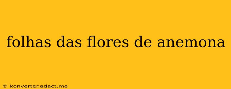 folhas das flores de anemona