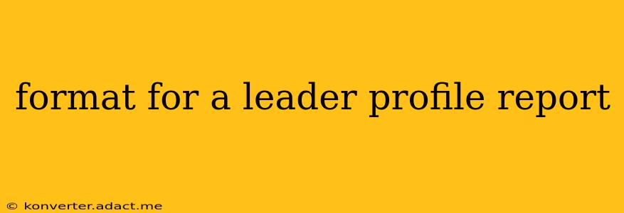 format for a leader profile report