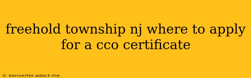 freehold township nj where to apply for a cco certificate