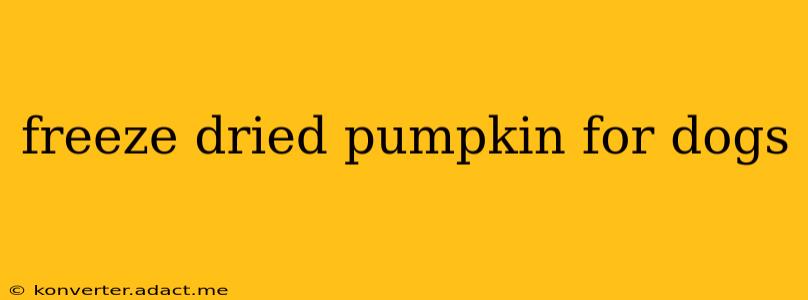 freeze dried pumpkin for dogs
