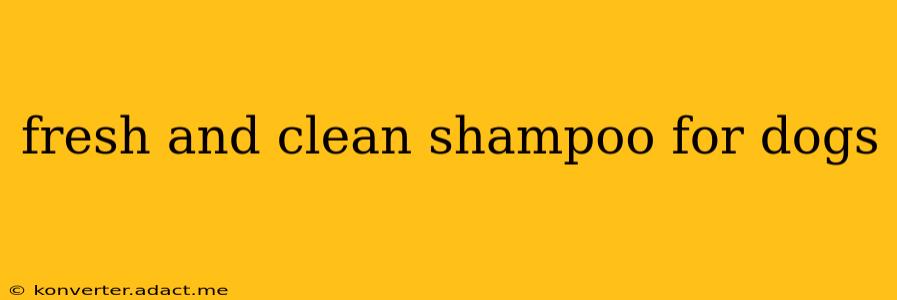 fresh and clean shampoo for dogs