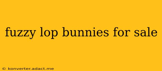 fuzzy lop bunnies for sale
