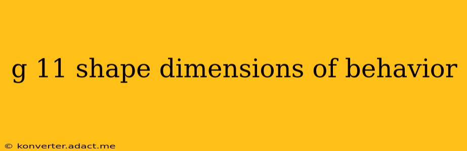 g 11 shape dimensions of behavior