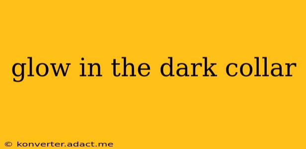 glow in the dark collar