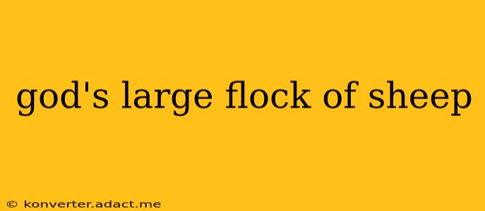 god's large flock of sheep