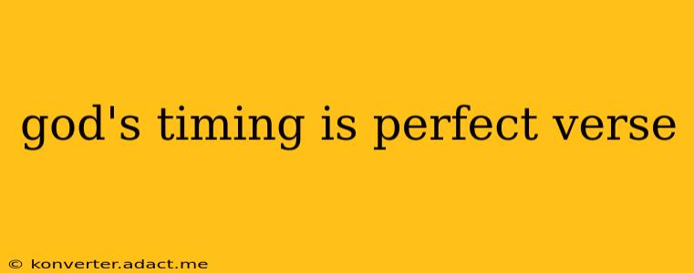 god's timing is perfect verse