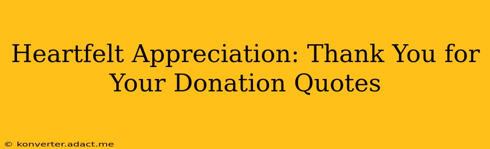 Heartfelt Appreciation: Thank You for Your Donation Quotes