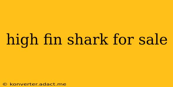 high fin shark for sale