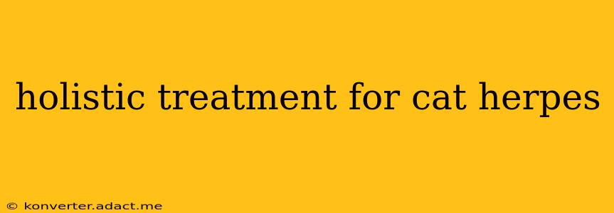 holistic treatment for cat herpes