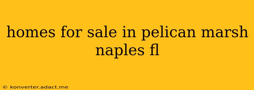 homes for sale in pelican marsh naples fl