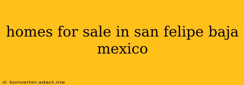 homes for sale in san felipe baja mexico