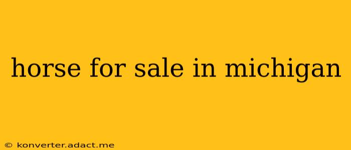 horse for sale in michigan