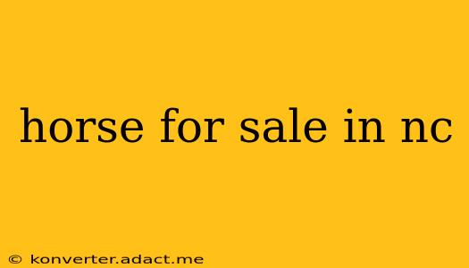 horse for sale in nc