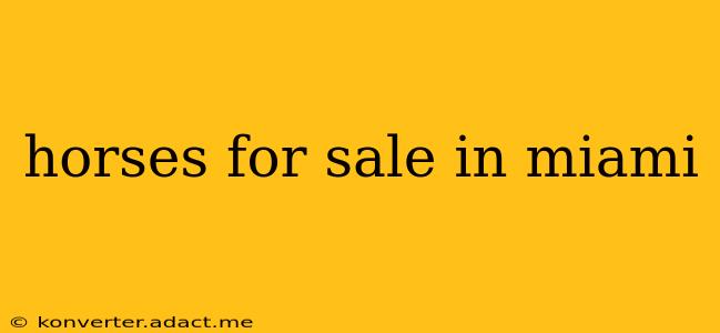 horses for sale in miami