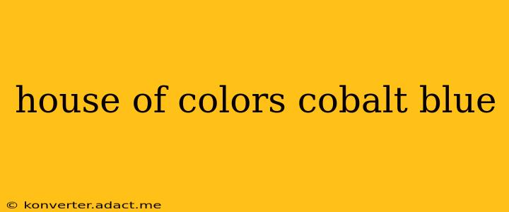 house of colors cobalt blue