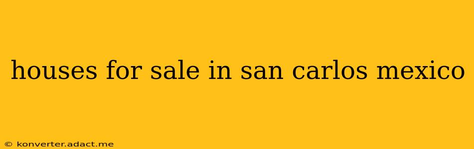 houses for sale in san carlos mexico
