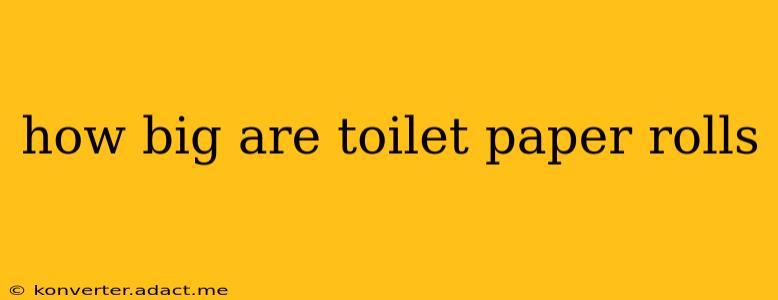 how big are toilet paper rolls