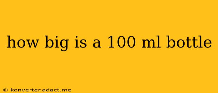 how big is a 100 ml bottle
