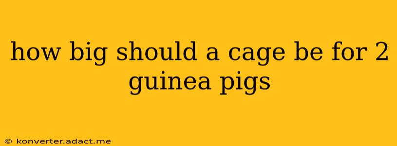 how big should a cage be for 2 guinea pigs