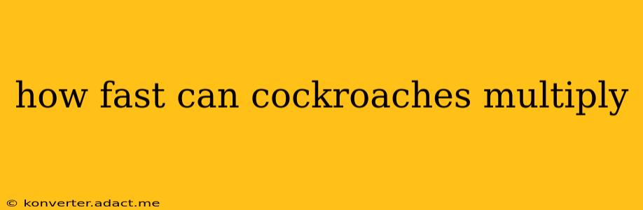 how fast can cockroaches multiply