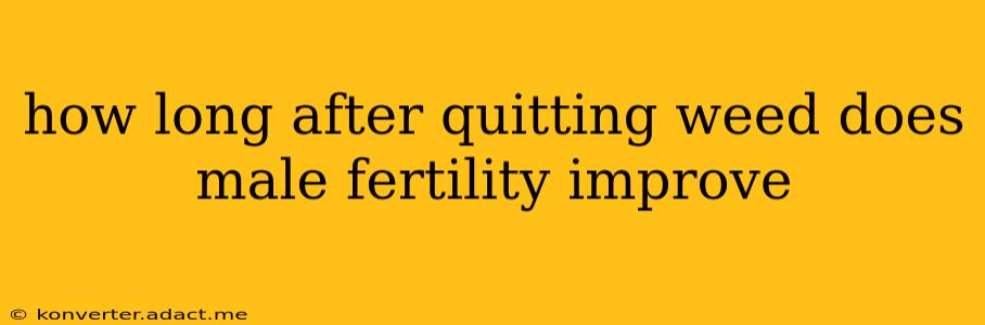 how long after quitting weed does male fertility improve