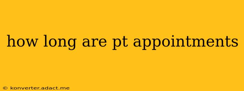 how long are pt appointments