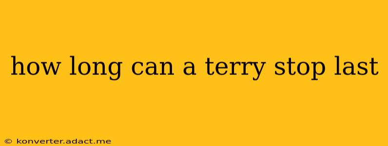 how long can a terry stop last