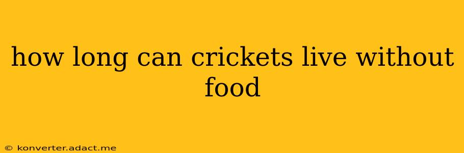 how long can crickets live without food