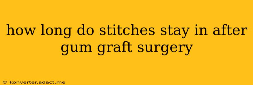 how long do stitches stay in after gum graft surgery