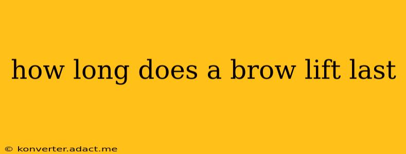 how long does a brow lift last
