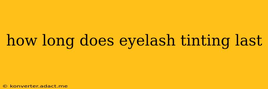 how long does eyelash tinting last