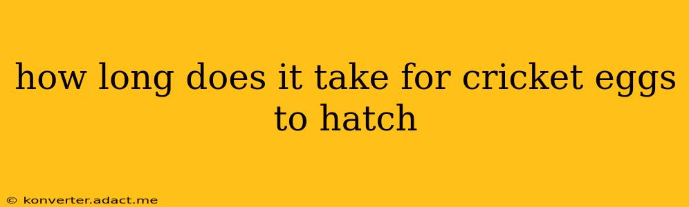 how long does it take for cricket eggs to hatch