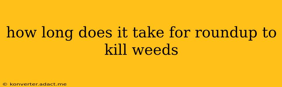 how long does it take for roundup to kill weeds