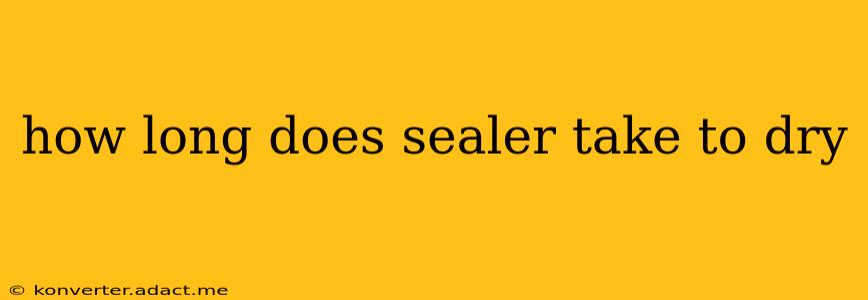 how long does sealer take to dry