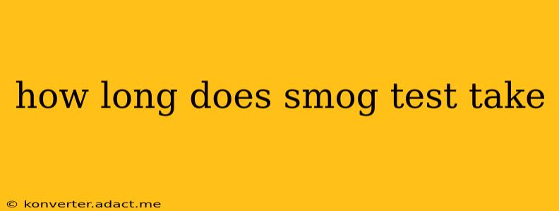 how long does smog test take