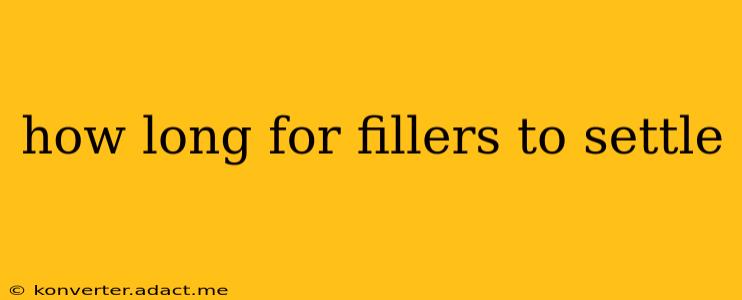 how long for fillers to settle