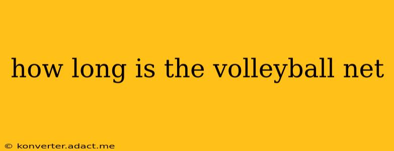 how long is the volleyball net
