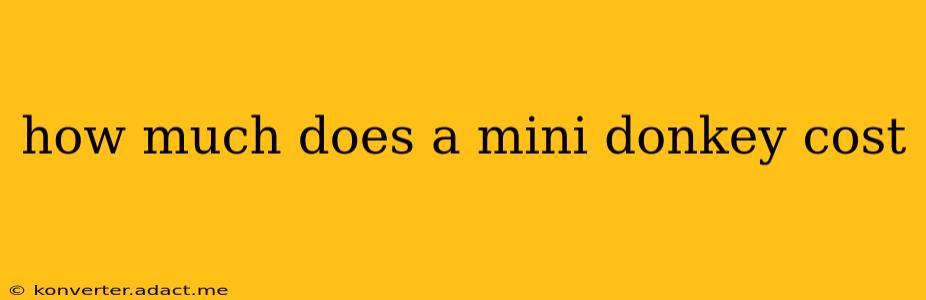 how much does a mini donkey cost
