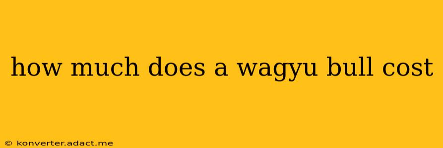 how much does a wagyu bull cost